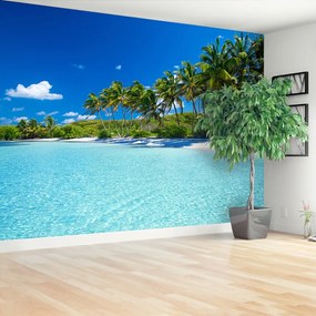 Fotótapéta palm beach 104x70 cm