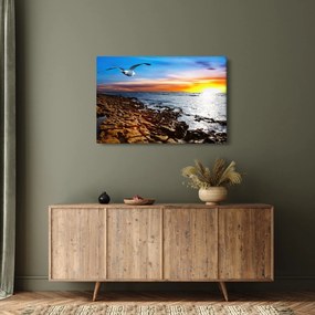 Kép - Sirály repül a tengerpart felett (90x60 cm)