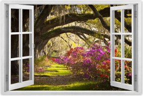 Poszterek 60x40 Virágok a parkban