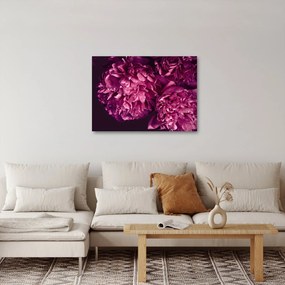 Kép - Csokor pünkösdi rózsa (70x50 cm)