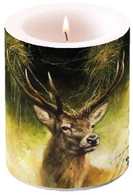 Proud Deer átvilágítós gyertya 12x10cm