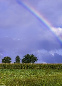 Poszter 20,5x28,4cm Szivárvány a mező felett, Assaf Frank