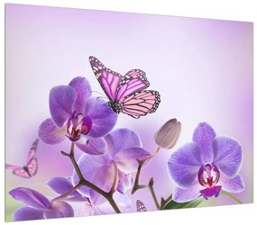 Lepke az orchideán (70x50 cm)