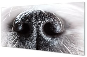 Üvegképek kutya orrát 100x50 cm