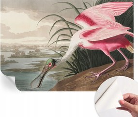 Öntapadós fotótapéta Konyha Mosható Egzotikus madár 152x104 cm