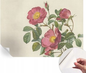 Dekoratív öntapadós fotótapéta Hálószobába Rózsa motívum 152x104 cm