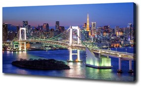Vászonfotó Bridge tokióban oc-83069808