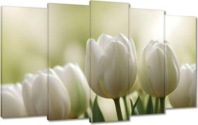 Vászonkép 100x60 Fehér tulipánok