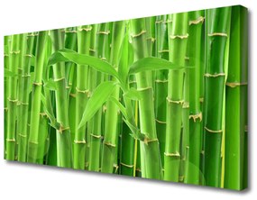 Vászonkép nyomtatás Bamboo Stem Flower Plant 120x60 cm