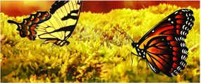 Pillangó képe (120x50 cm)