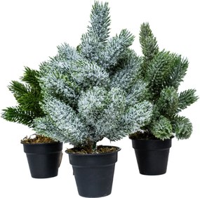 Mini műfenyő cserépben 22 cm Hó nélküli