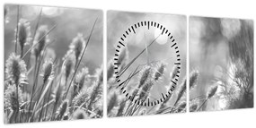 Kép - Bézs színű puha fű N⁰1 (órával) (90x30 cm)