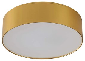 Solari