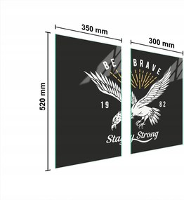 Üveg Konyhai Védőlap 65x52 Madár