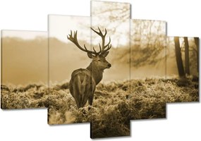Vászonkép 120x80 Szarvas az erdőben