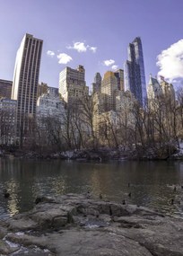 Poszter 50x70cm Alsó-Manhattan panoráma a Central Parkból, Assaf Frank