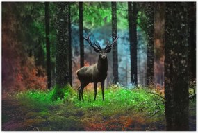 Poszterek 120x80 Szarvas a mesés erdőben