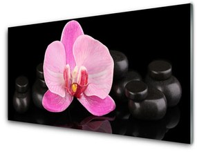Üvegkép Stones virág növény 120x60cm
