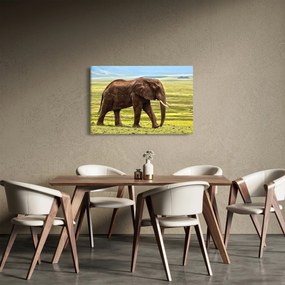 Egy elefánt képe (90x60 cm)
