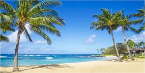 Fotó üvegkép Trópusi tengerpart 140x70