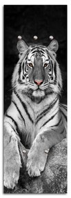 Gario Fali fogas Tigris Méret: 40 x 118 cm