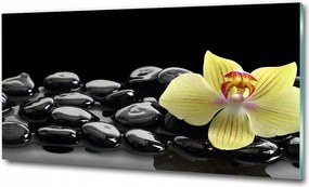 Fotó üvegkép Pitypang magok 125x50