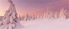 Kép - Fák a hótakaró alatt (120x50 cm)