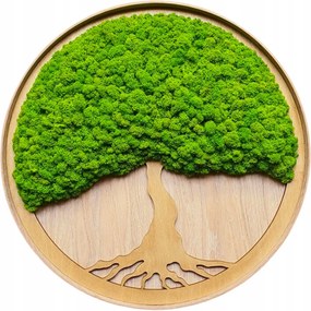 Moha kép Moha Krobot Tölgyfa keretben nagy 50cm Élő Fa kép XL