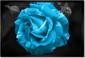 Poszter keretben 60x40 Türkiz rózsa Virág