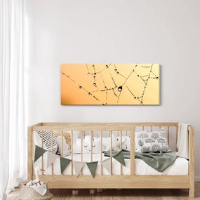 Egy harmatos pókháló képe (120x50 cm)