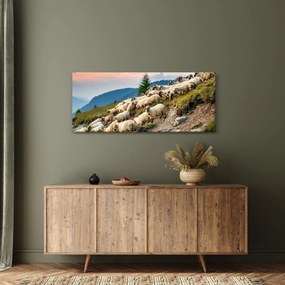 Kép - Egy nyáj birka (120x50 cm)