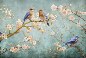 Fotótapéta Flizelin Tapéta Hálószobába és Nappaliba Tavaszi madarak 104x70