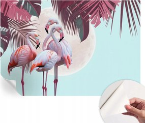 Dekoratív Öntapadós Tapéta Divatos Minták Egzotikus madarak 152x104 cm