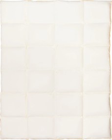 Toll Dart toll paplan 200x220 Egész éves Természetes Lengyel