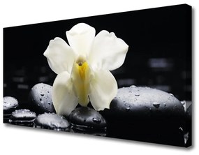 Vászonkép falra Virág orchidea növény 120x60 cm