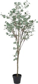 Eukaliptusz műnövény (magasság 180 cm) Eucalyptus – Ixia