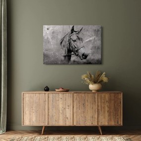 Kép - Egy ló portréja (90x60 cm)