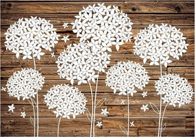 3D fotótapéta pitypang fotótapéta 368 x 254