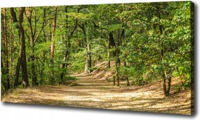 Vászonkép Erdei ösvény 100x70 cm