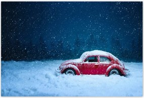 Poszterek 200x135 Bogár