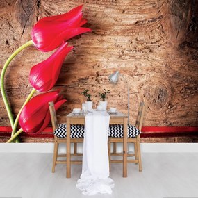 Fotótapéta - Tulipán, fa, szalag (152,5x104 cm)