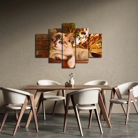 Macska a virágcserépben képe (150x105 cm)
