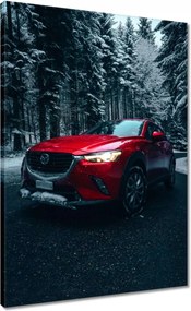 Våszonkép 50x70 Piros Mazda Autó