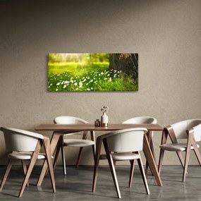 Tisztás és a virágok képe (120x50 cm)