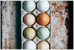 Poszterek 155x105 Konyhai képek Forradalmak