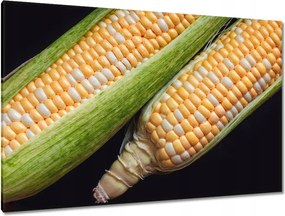 Képek 120x80 Két kukoricacsutka