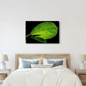 Kép - zöld levél (90x60 cm)