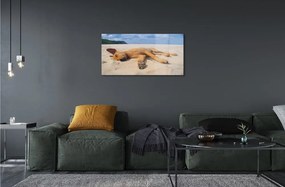 Üvegképek Fekvő kutya strand 120x60cm