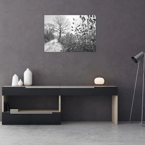 Üveg kép - Mezők télen (70x50 cm)