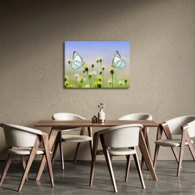 Pillangók eképe a virágon (70x50 cm)